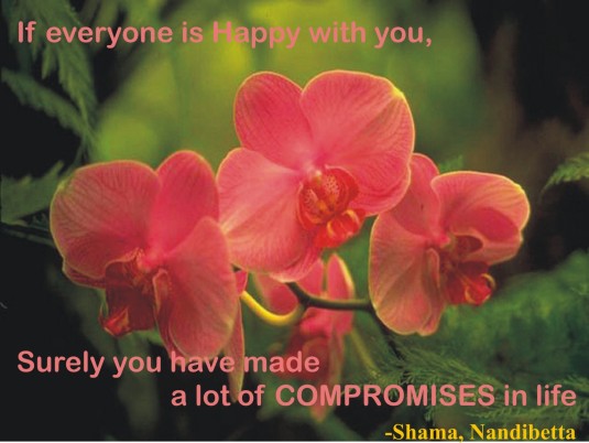 Happy-compromise